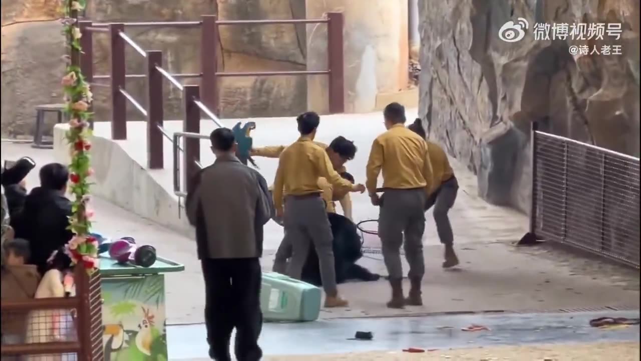 HORROR: Black Bear at Chinese Zoo Attacks Zookeeper During Show