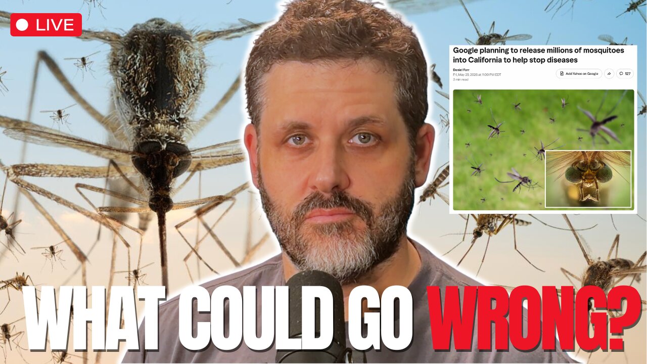 Google Releasing 32 Million Mosquitoes + Iran War Is Back On? | Low Value Mail Live Call-In Show
