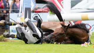 Olympic Rider to Shame: The Dark Truth of an Olympic Rider's Abuse - Video Hitting Horse 42 Times