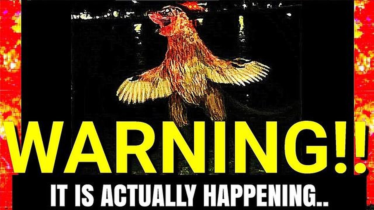Strange Videos That Have Me Extremely Puzzled