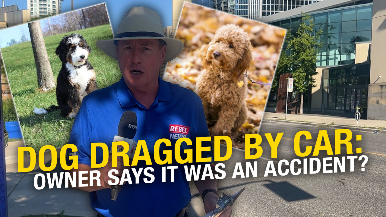UPDATE: Toronto realtor ‘accidentally’ drags pet with car