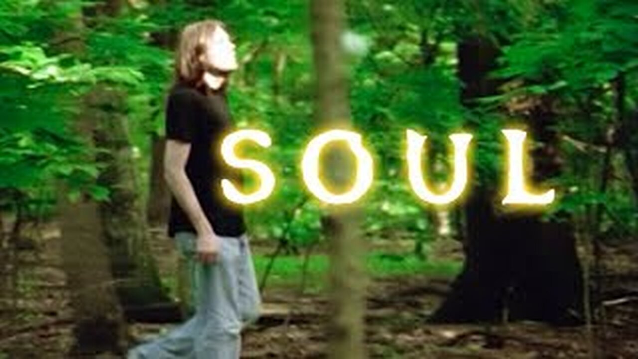 Oblivions sincerity of expression: the meaning of soul (Crowbcat)
