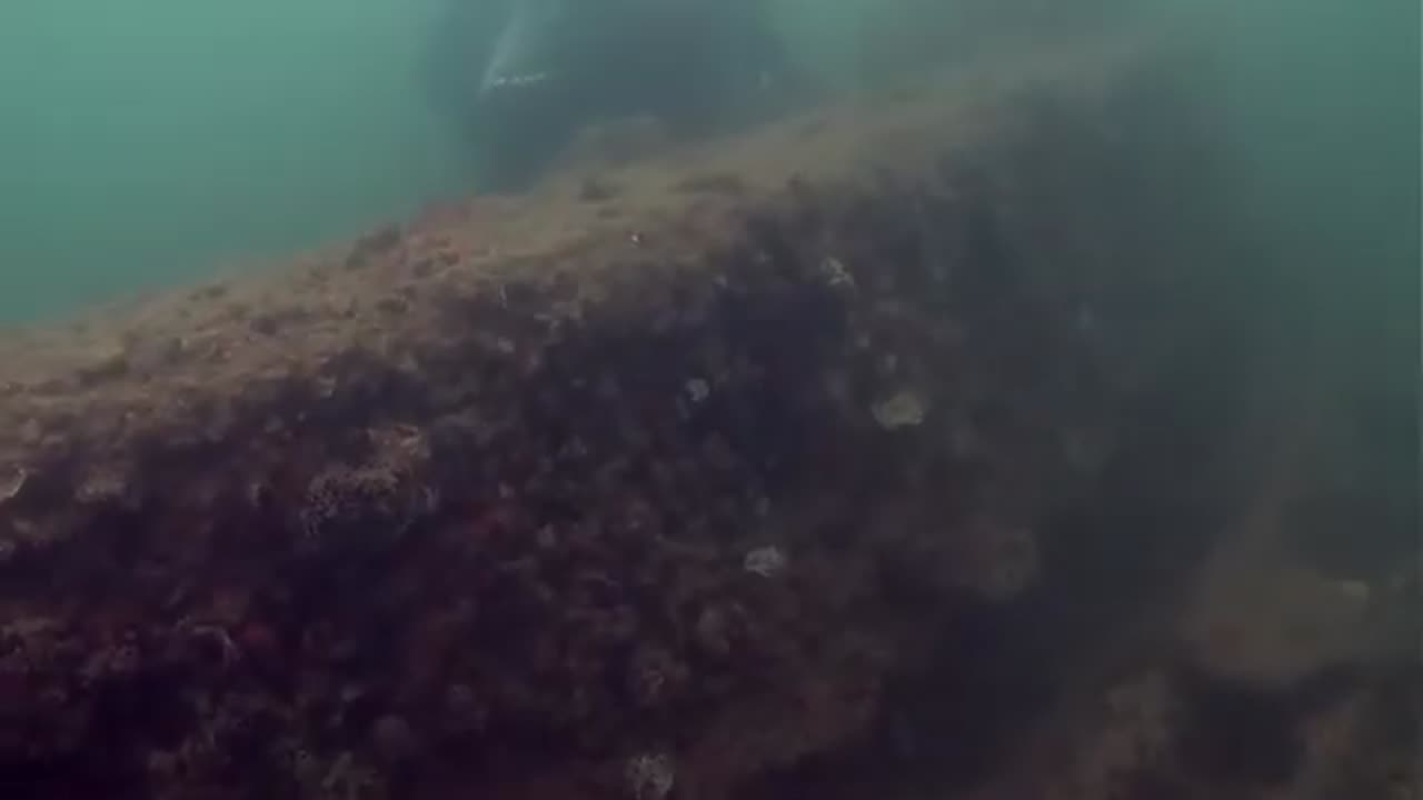Video Tour of the USS Arizona Underwater