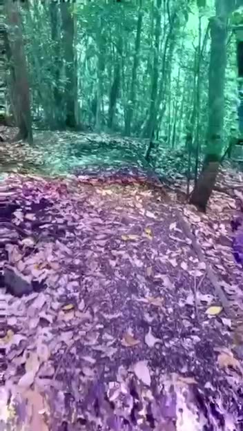 Matrix simulation