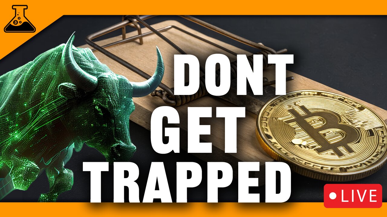 Musk V Trump Crypto Warning! Bitcoin Trap Strategy & Altcoin Caution!
