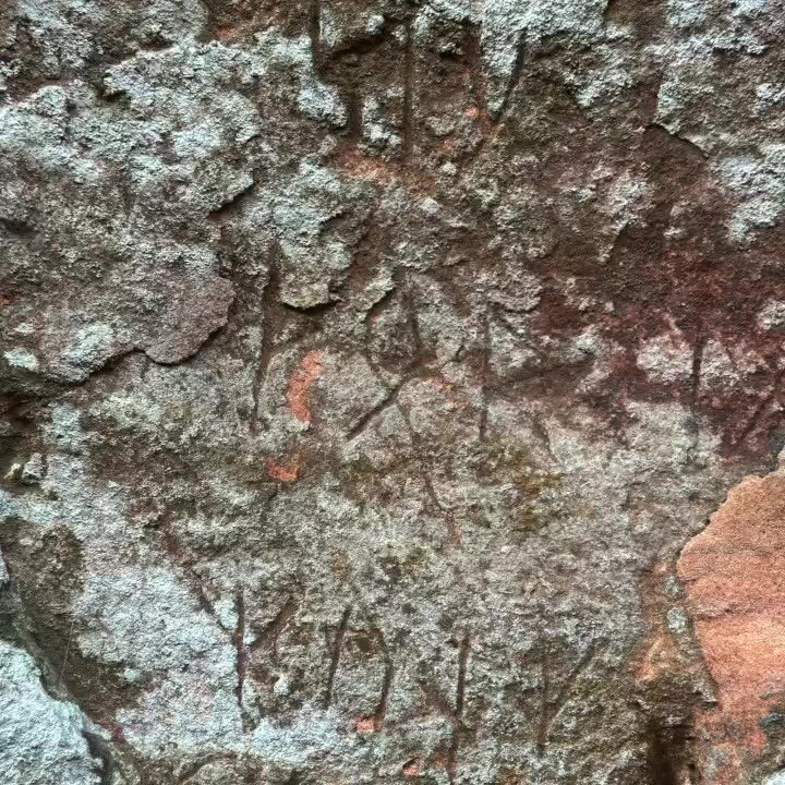 Vikings in Paraguay mystery solved?