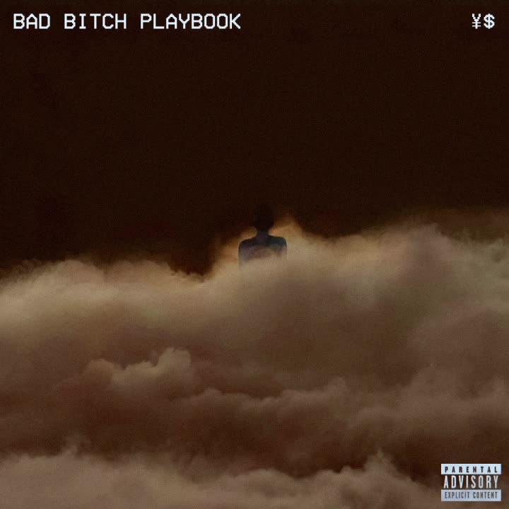 FRIED - Bad Bitch Playbook [YEDIT] (KanYe West) {m3lt}