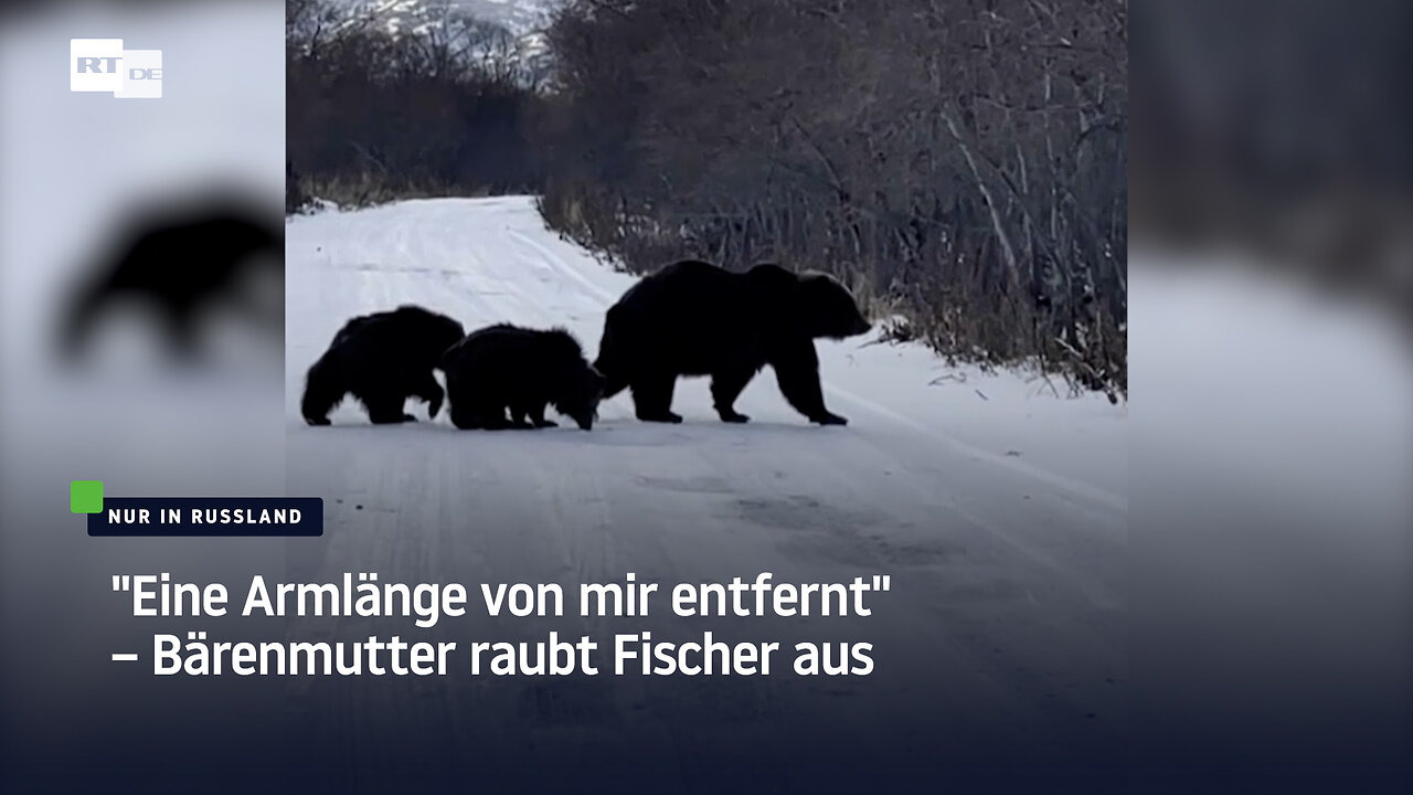 Eine Armlänge von mir entfernt – Bärenmutter raubt Fischer aus