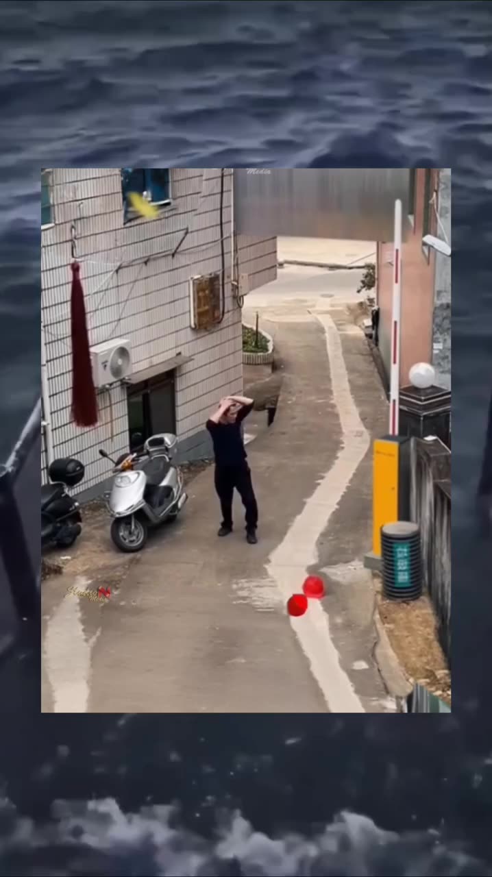 Bro won the fight