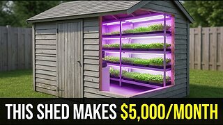 The $5,000/Month Backyard No One Can See From the Street (Video)