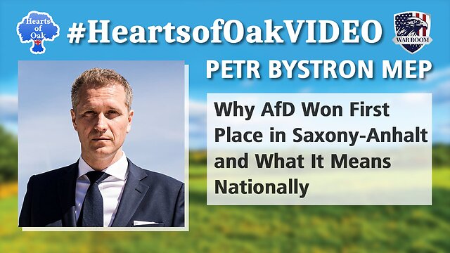 etr Bystron MEP: Why AfD Won First Place in Saxony-Anhalt and What It Means Nationally