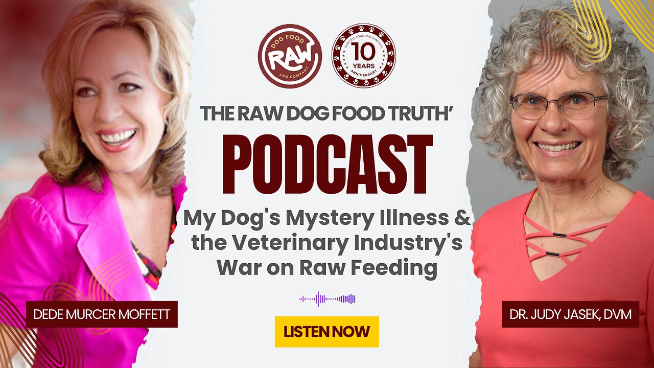 My Dogs Mystery Illness and the Veterinary Industrys War on Raw Feeding