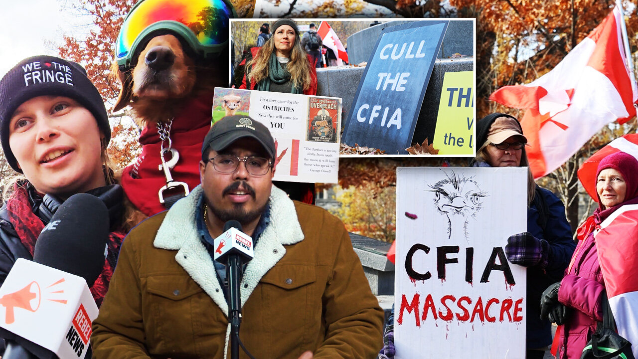 Cull the CFIA: Patriots in Toronto organize farmers’ protest after ostrich massacre
