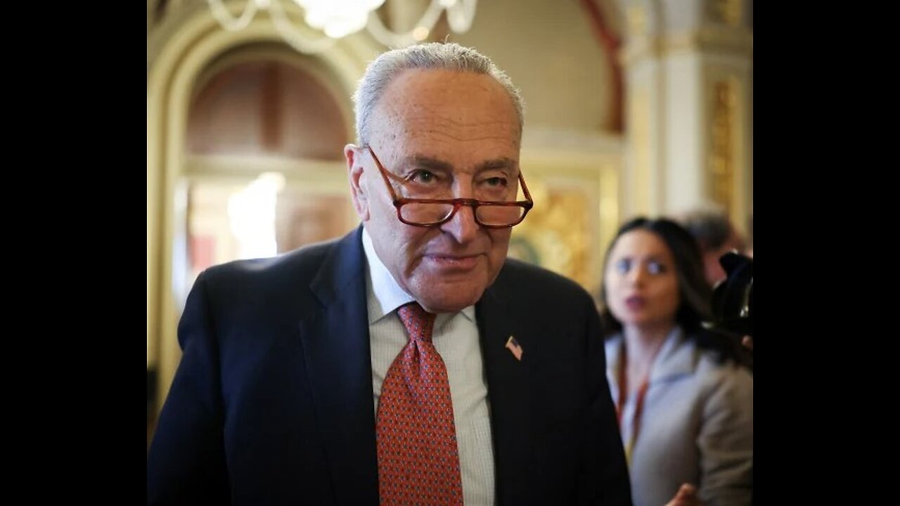 Chuck Schumer Slams Trumps Remarks on Constitution