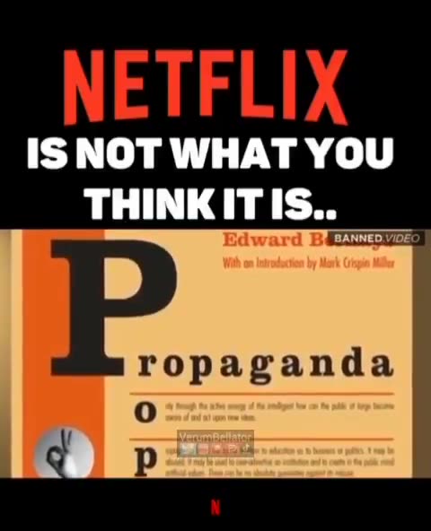 NETFLIX IS NOT WHAT YOU THINK IT IS