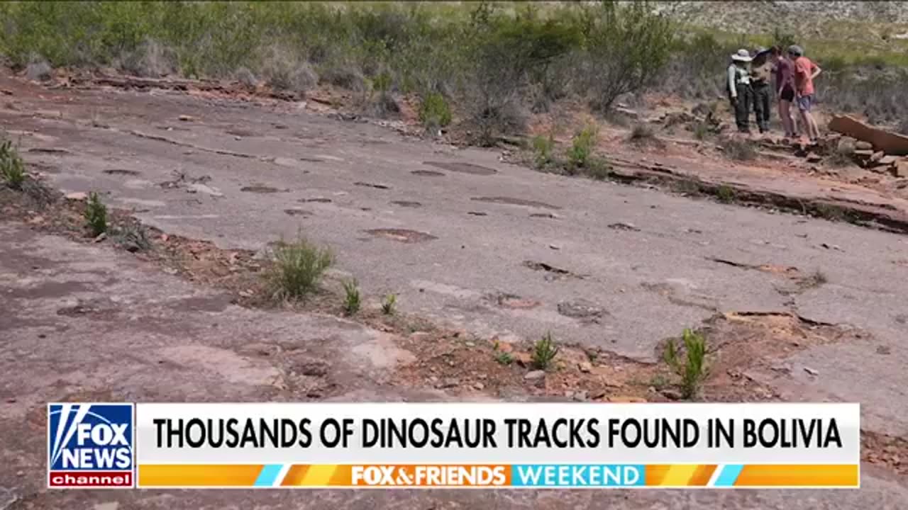 The world’s largest dinosaur track site, possibly 66 million years old, discovered in Bolivia.