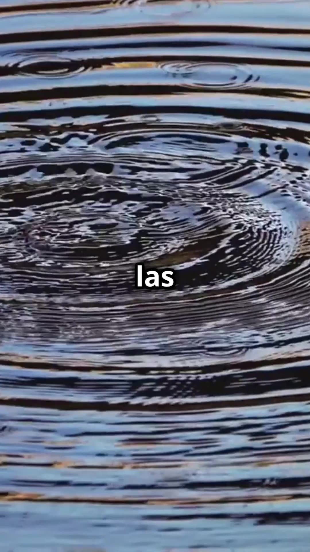 ¿Listo para crear tu realidad? Domina el arte del pensamiento y la manifestación consciente.