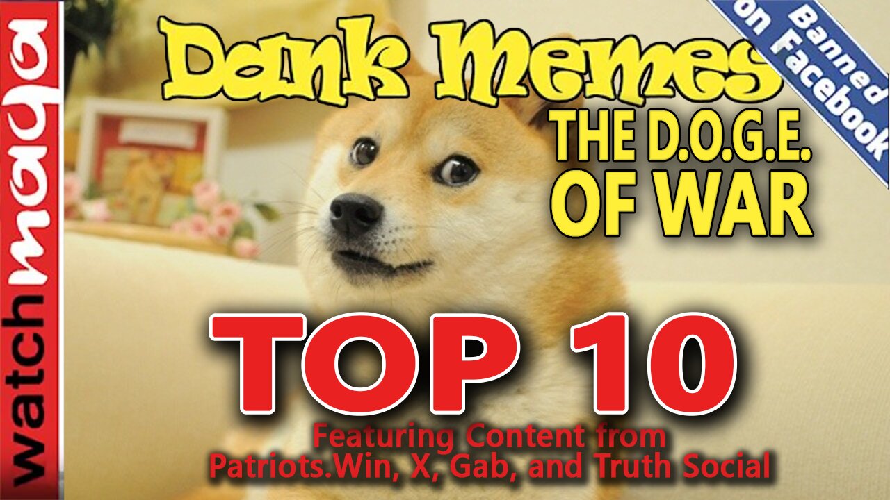 The DOGE of War: TOP 10 MEMES