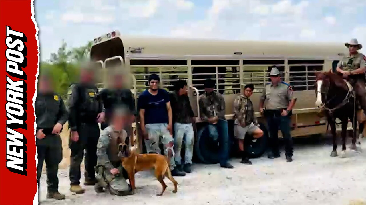 Texas border k-9 and horse units track and bust migrants on ranch thumbnail