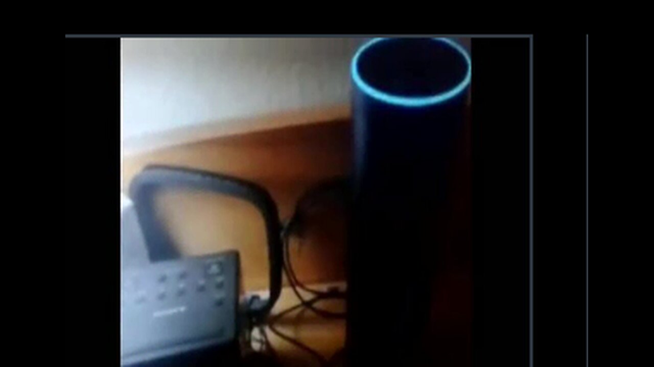 Alexa Are you spying on me? Who do you work for? Do you work for the NSA? And the answer is...