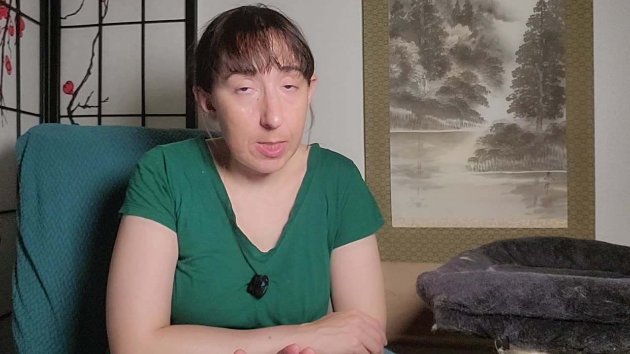 I Am Jazzs Waking Nightmare: The Battle of the Budge Part 1
