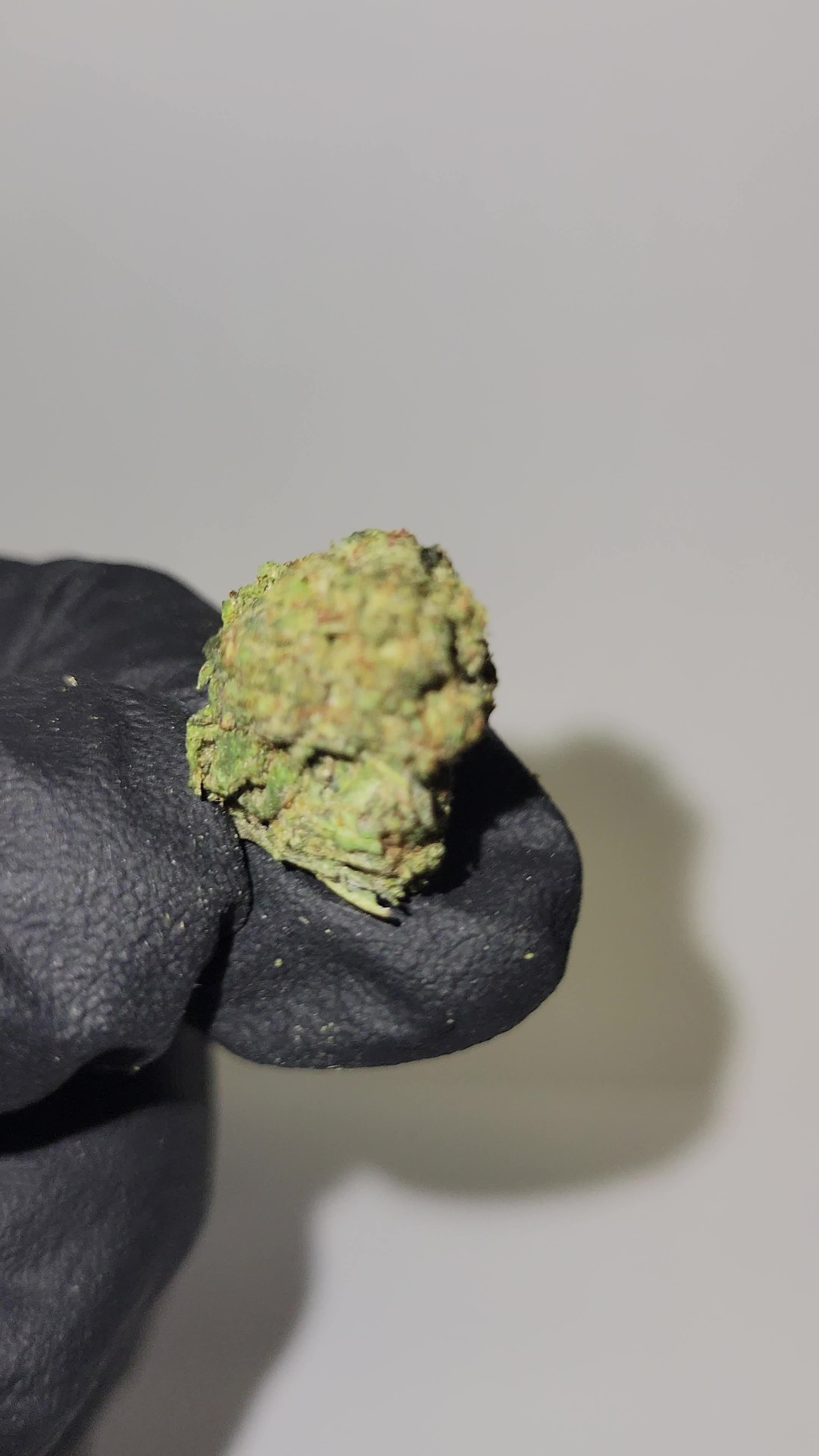 Motor City Gas THC Flower