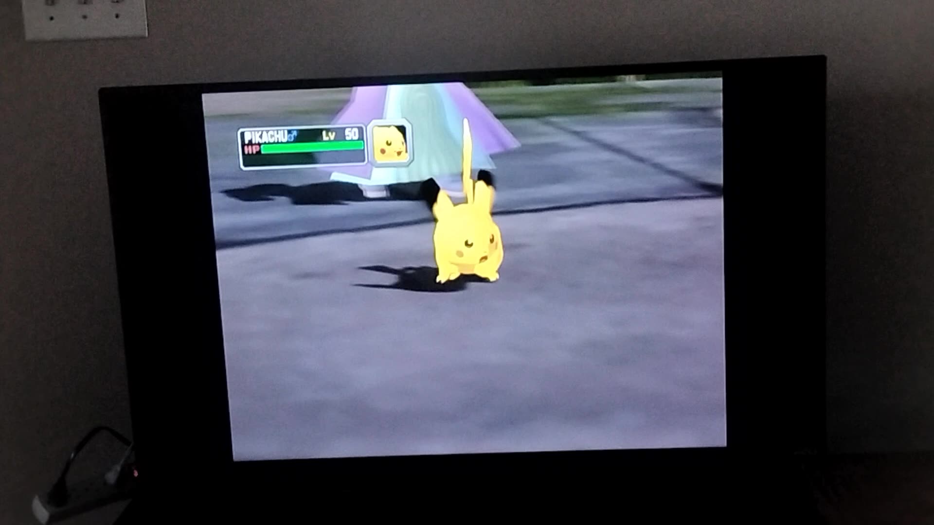 Pokemon Colosseum:Eagun Vs. Team Cipher