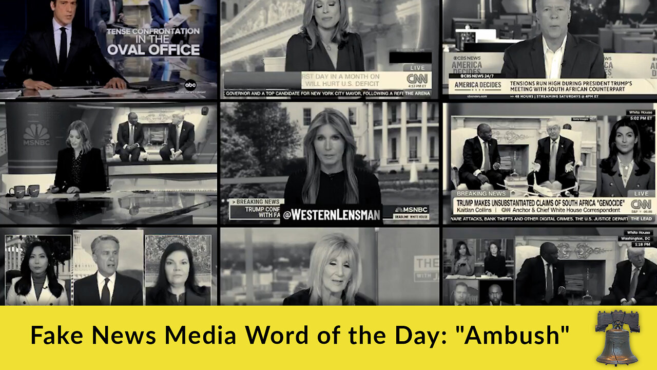 Fake News Media Word of the Day: Ambush
