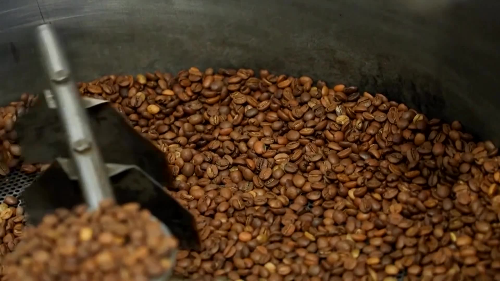 Brazils robusta coffee growers boost quality as prices rise