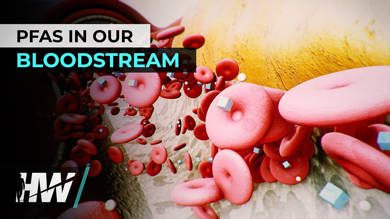 🚩PFAS IN OUR BLOODSTREAM | The HighWire