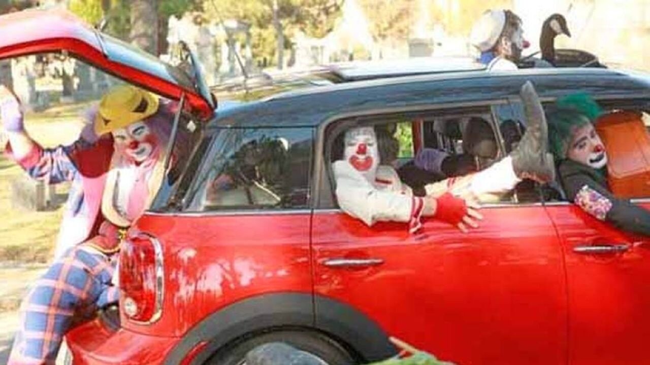Chuck Schumer Hauls NPR And PBS Into The Dems People Will Die Talking Points Clown Car