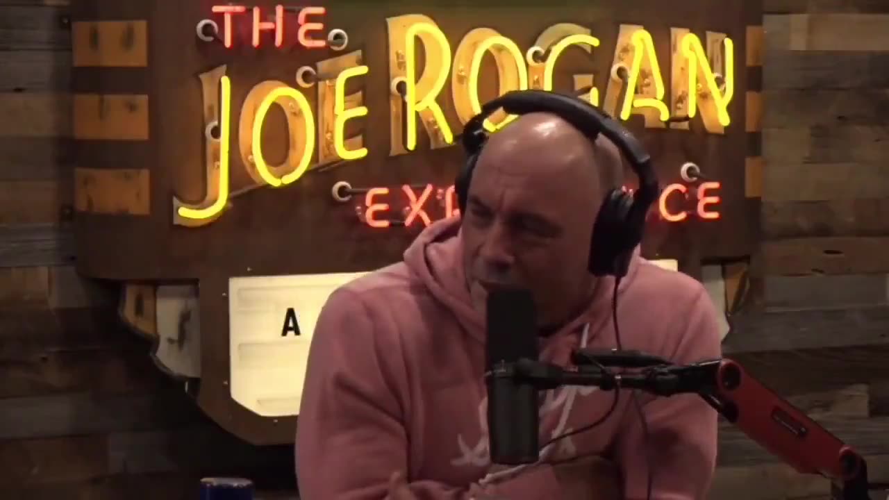 Joe Rogan and Mike Tyson discuss the elites human hunting parties