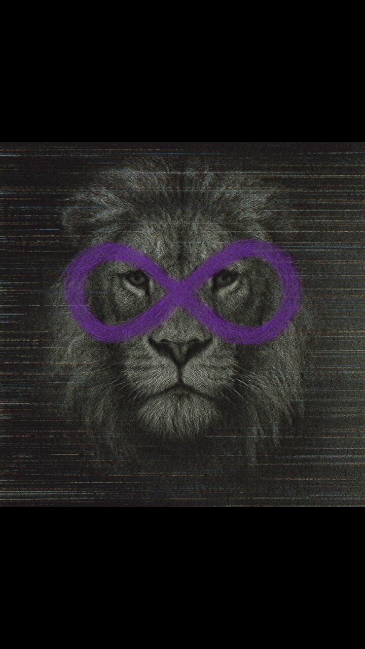 The End | Wounded Lions