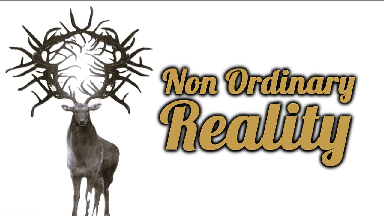 Non Ordinary Reality: Soratic Beings, Sinéad O’Connor and Soul Retrievals in the Otherworld