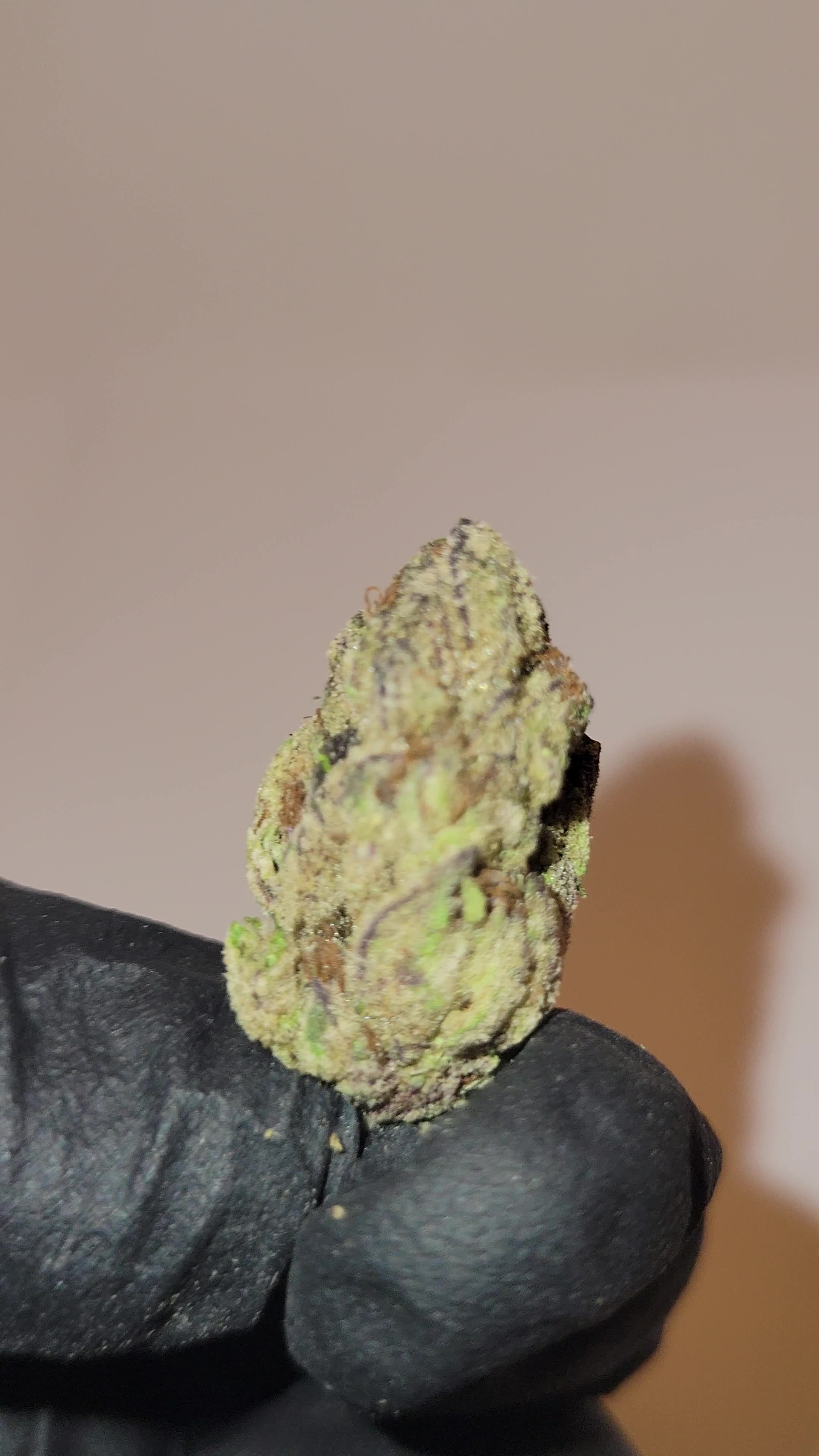 Obama Runtz THCA Flower