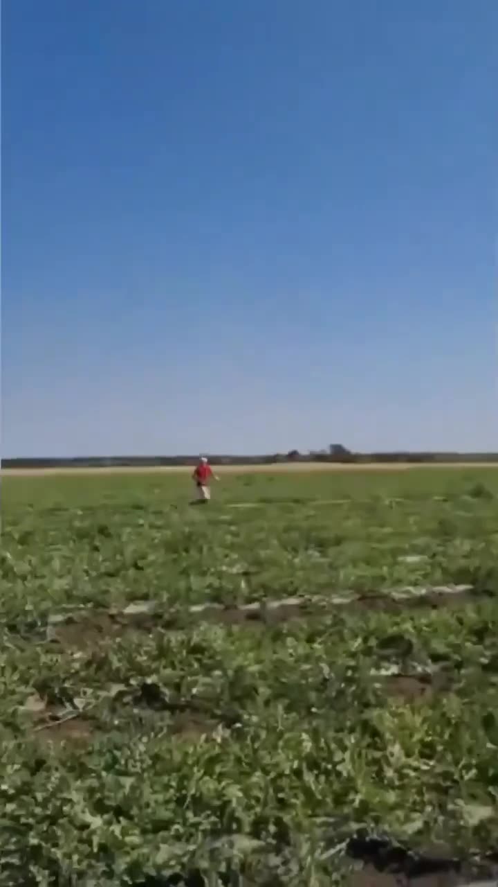 π€¬ Russian drone attacks families working in the Kherson regionβ¦