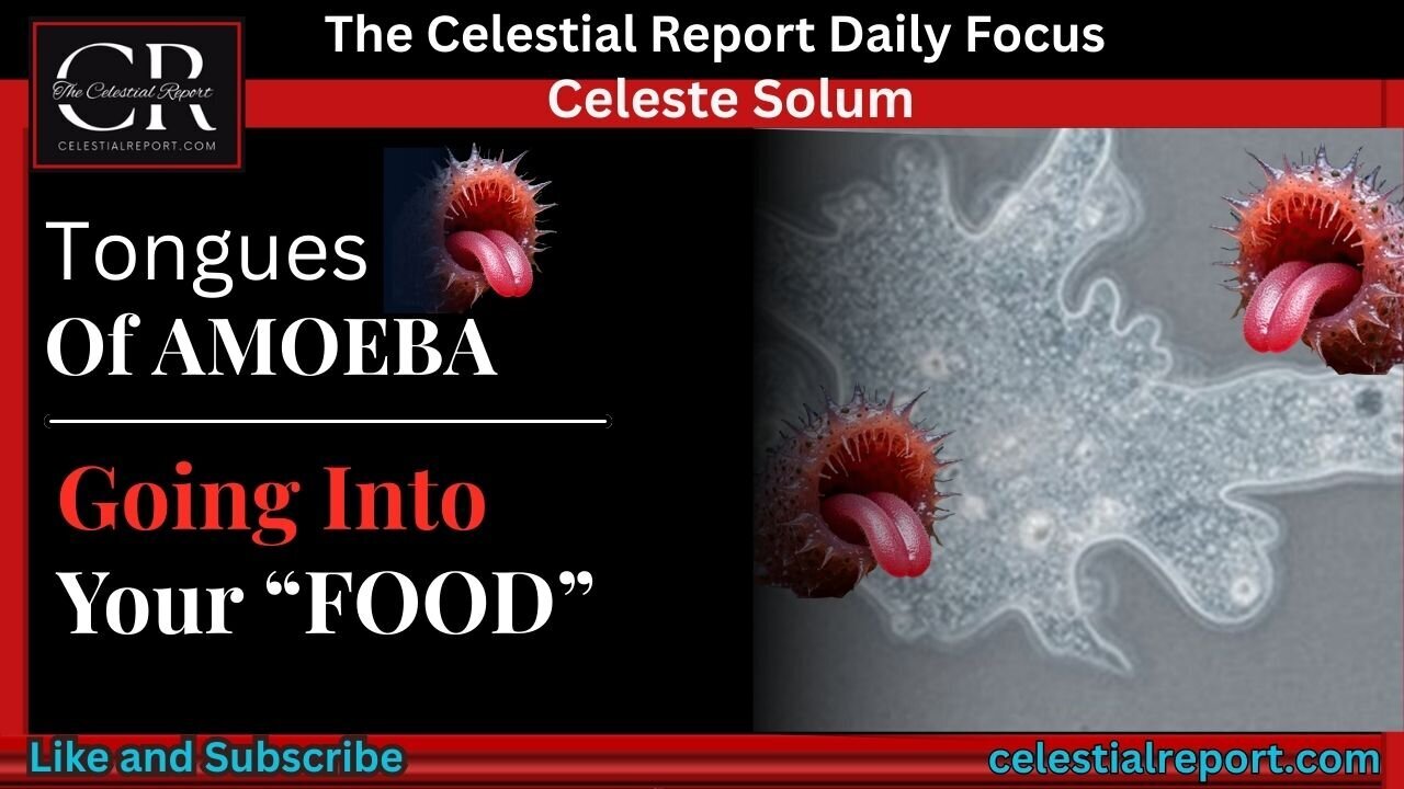 The REAL Tongues Of Amoeba! - Celeste Solum