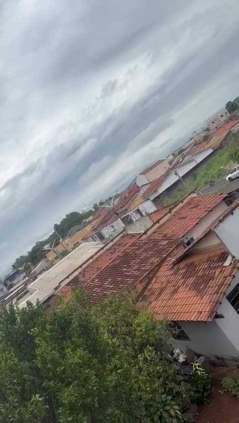 pendejo