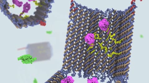 A cell-targeted, payload-delivering DNA nanorobot developed at the Wyss Institute (2013) that can trigger targeted therapeutic responses. This novel technology could potentially seek out cancer cells and cause them to self-destruct