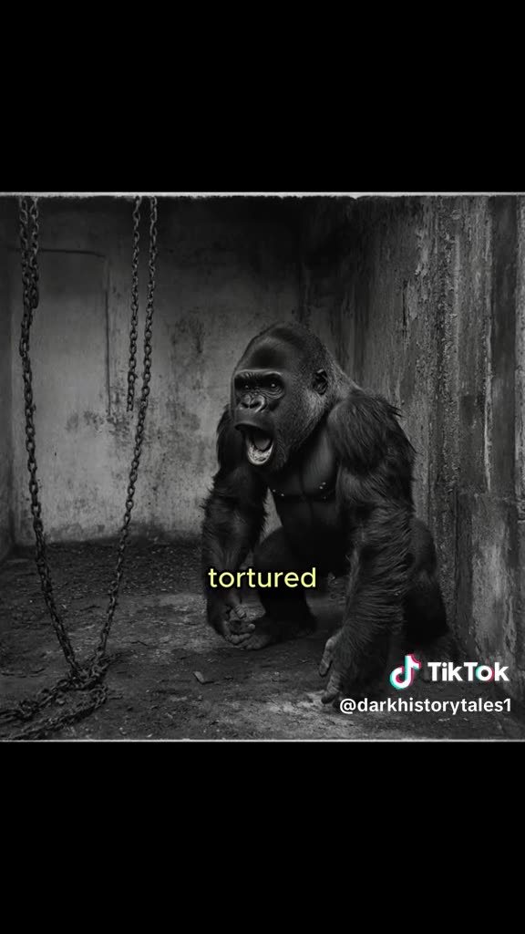 GORILLA OR 100 MEN?