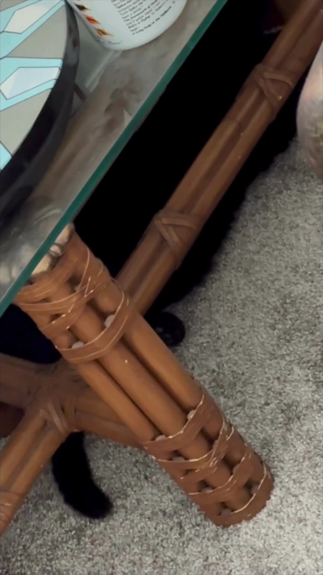 Cute Precious Piper Finds a Great New Spot to Hide - My Adopted Shelter Cat Vlog #shorts
