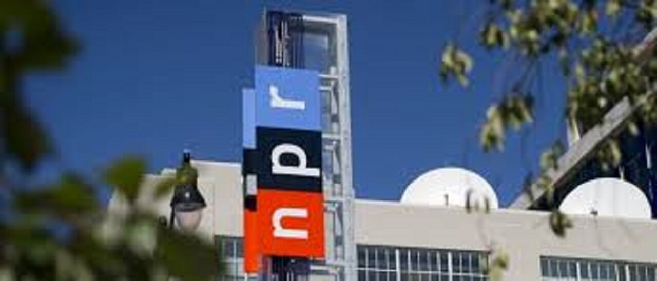 Sens. Ernst, Cruz Demand NPR Grant Accountability