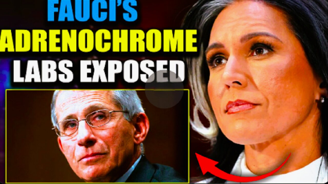 Tulsi Gabbard Exposes Faucis Ukraine Biolabs as Adrenochrome Factories
