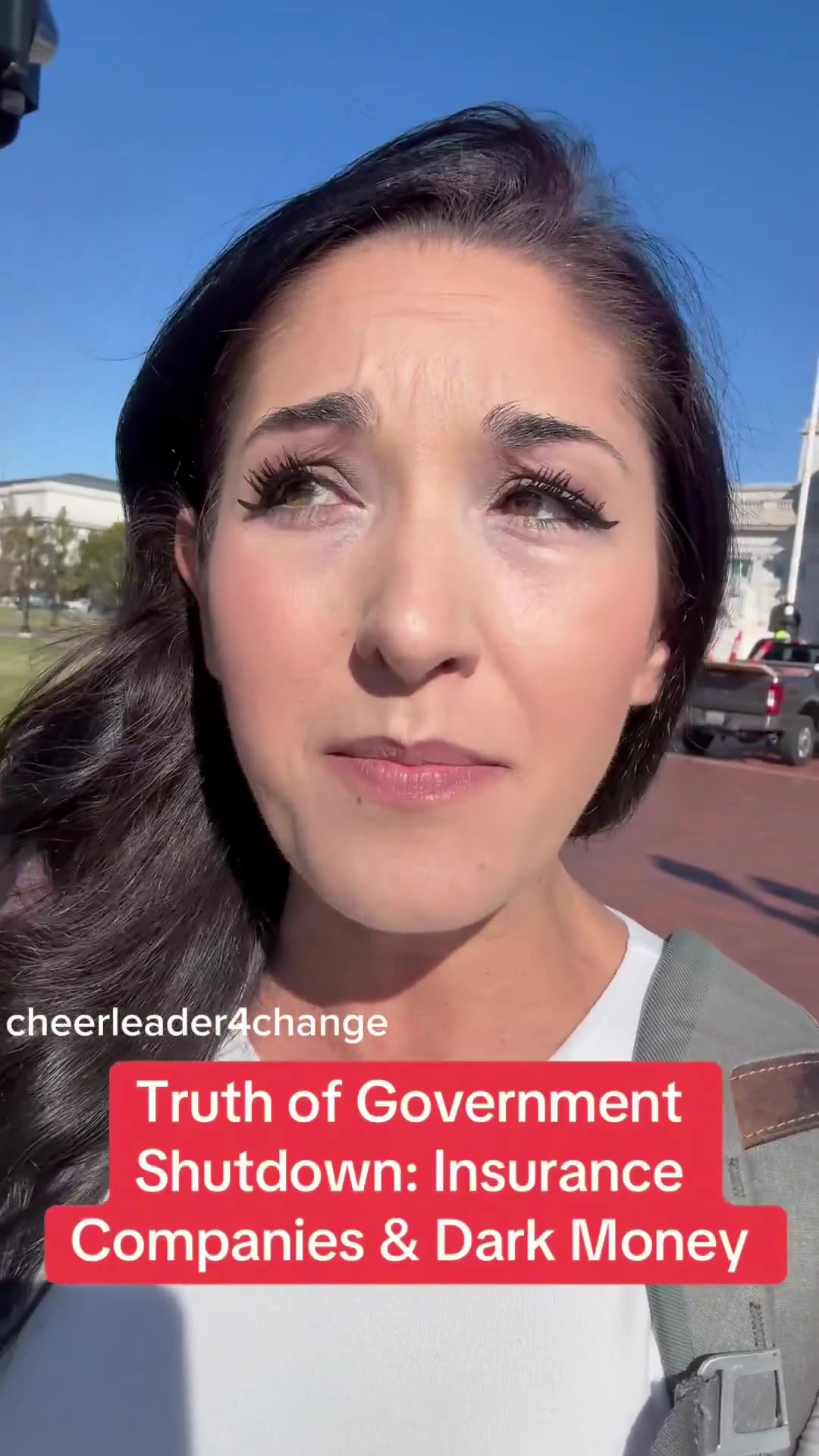 Wall Street Apes - WOW 🚨 DC Lobbyist exposes the real reason Democrats are keeping the g...