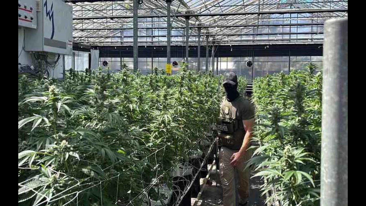 California Rep. Salud Carbajal Doxxed ICE Agent Who Participated In Raid His Donors Marijuana Farm