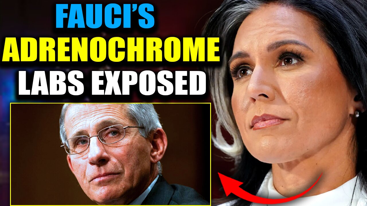 Tulsi Gabbard Exposes Faucis Ukraine Biolabs as Adrenochrome Factories