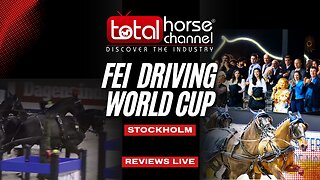 FEI Driving World Cup - Stockholm LIVE Review