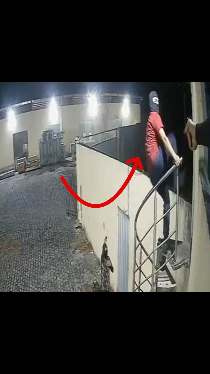 Guardia de seguridad mata a dos delincuentes en intento de robo en Brasil
