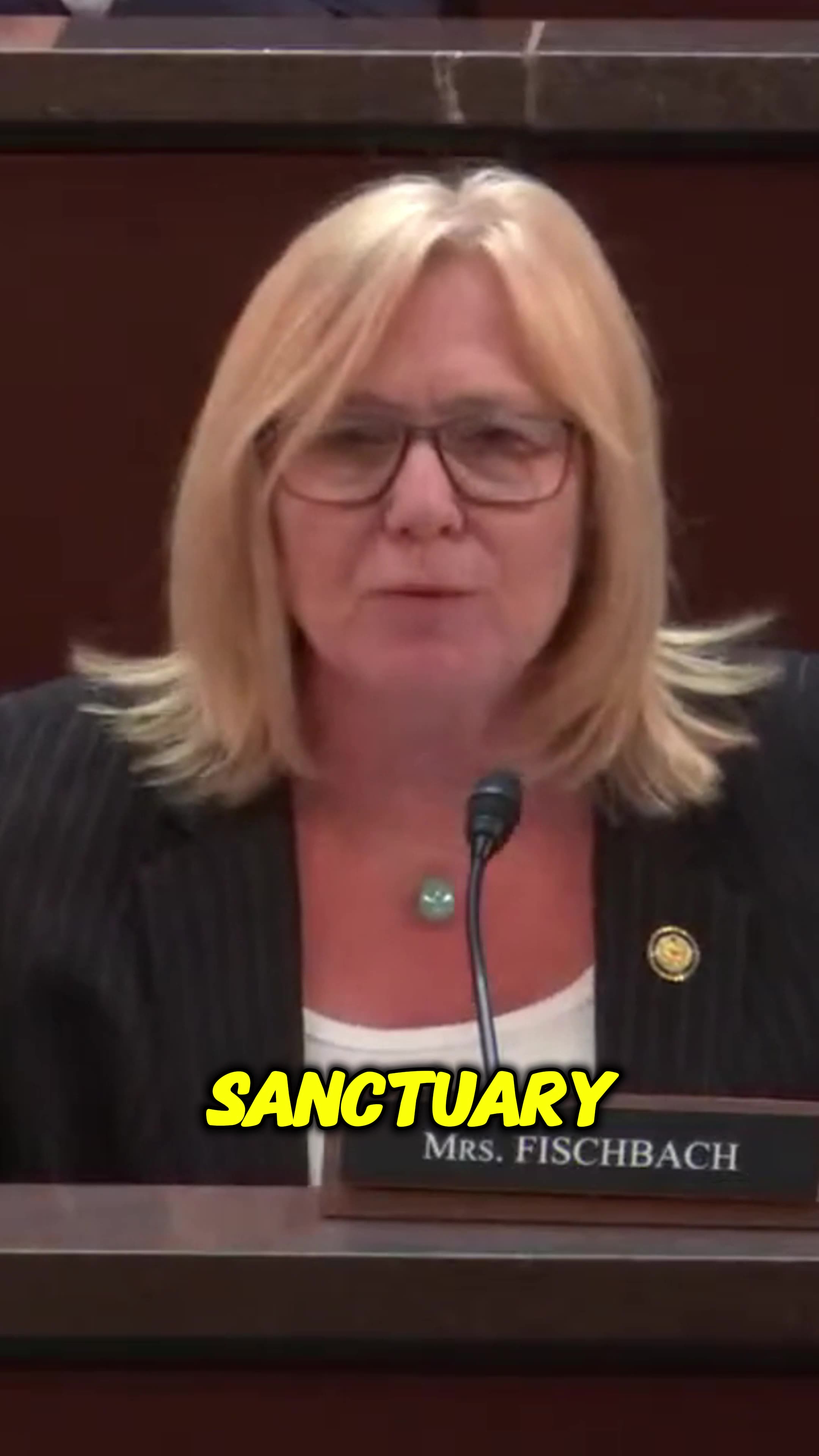 Michelle Fischbach CALLS OUT Governor Walz for Immigrant-Benefiting Bills!