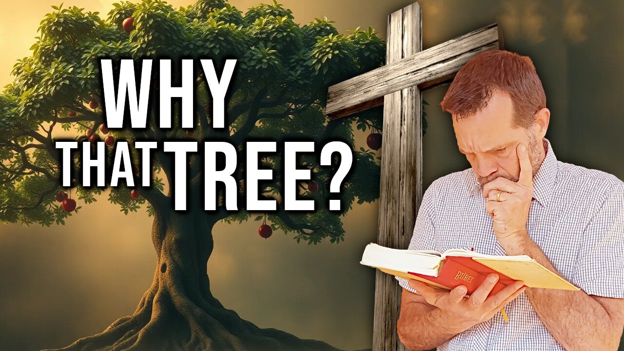 The Real Reason Why God Created the Tree of Knowledge of Good and Evil